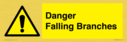 danger-falling-branches~